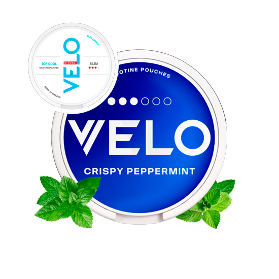 VELO CRISPY PEPPERMINT – SnusGiganten